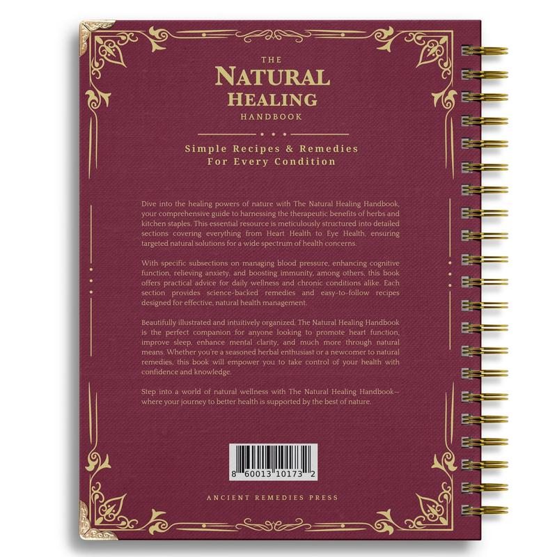 DetoxViva Natural Healing Handbook