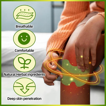 DetoxViva Parches Herbales — Alivio Articular