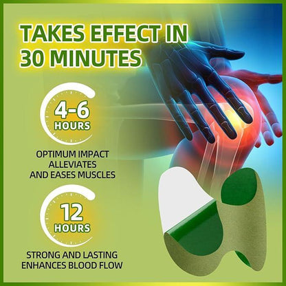 DetoxViva Parches Herbales — Alivio Articular