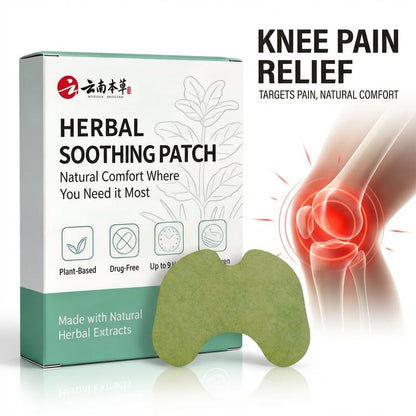 DetoxViva Parches Herbales — Alivio Articular