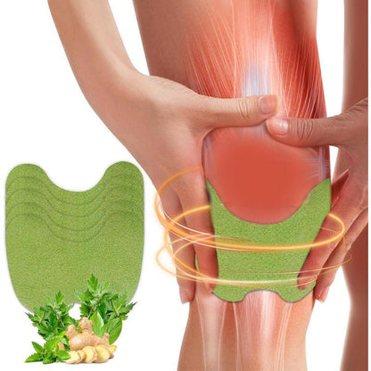DetoxViva Parches Herbales — Alivio Articular